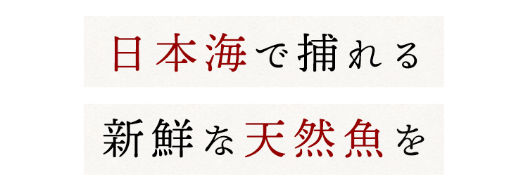 日本海で取れる